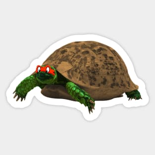 RAPHAEL Sticker